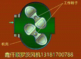 三葉羅茨鼓風(fēng)機(jī)工作原理gif動(dòng)畫(huà)